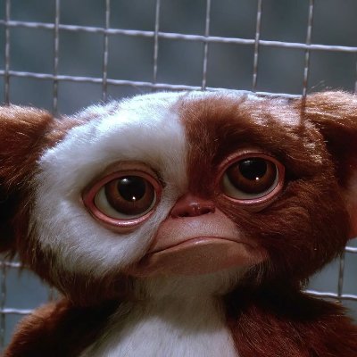 TokenGremlin's profile picture