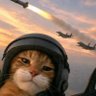 Profilbild von nestor GT