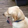 Linda Bills's profile picture
