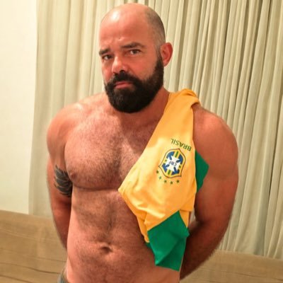 ursoparrudobr's profile picture