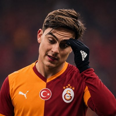 Deniz's profile picture
