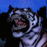 veritati_of_nsugbe🧩's profile picture