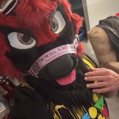 SkylightFurry's profile picture