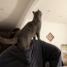 YHY profil fotoğrafı