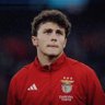 🇵🇹 Rodrigo Dias 🏴's profile picture