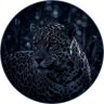 𝑀𝒶𝓇𝓎𝒶𝓂🕊️✨'s profile picture