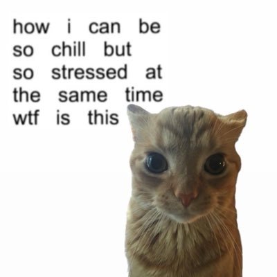 dut's profile picture