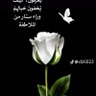 ابو يسف's profile picture
