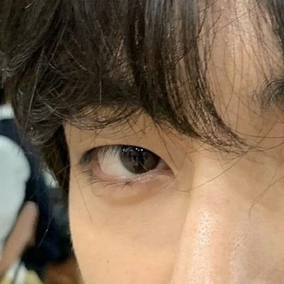 flora. 𝑨𝑹𝑰𝑹𝑨𝑵𝑮 ⦿ ☰ ☲'s profile picture
