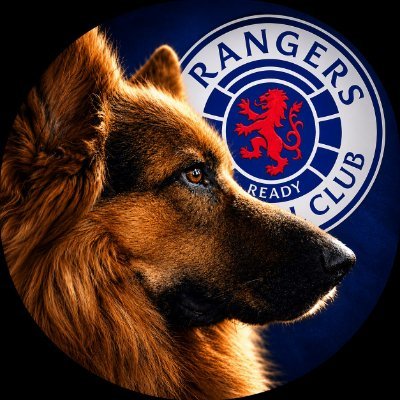 RangersBear55's profile picture