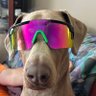 bobbi's profile picture