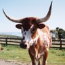 Saint James's profile picture