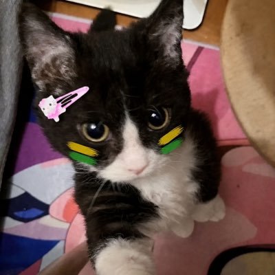 Vic.'s profile picture