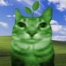 Rapha™'s profile picture