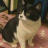 あんこ㌠ (ᯫ᳐⦁⩊⦁ᯫ᳐)ฅ🐾 的头像