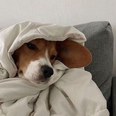 𝐜𝐨𝐟𝐟𝐡𝐨𝐥𝐢𝐜 ☕️🎧ྀི's profile picture