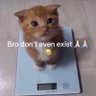 wow 的头像
