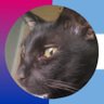 rumii 🇦🇷(COMMS OPEN)'s profile picture