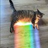 MacGyver's profile picture