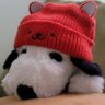 Profilbild von xo, minski ˢⁿᵒᵒᵖʸ ⁿⁱ ᵉˡˡᵃ