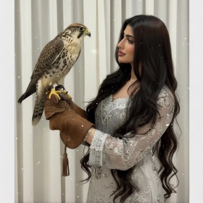 سارة 🇰🇼's profile picture