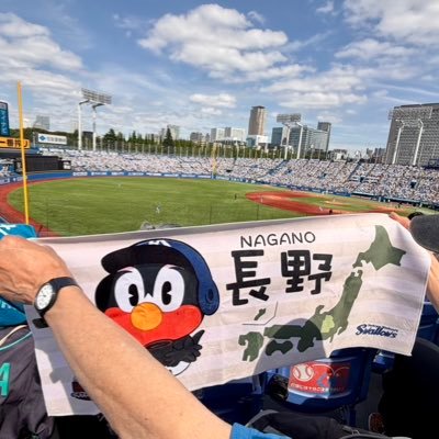 ファイターズ犬翔平's profile picture