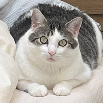 chance's profile picture