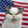 Фото профиля Grumpy
