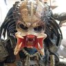 現物支給's profile picture