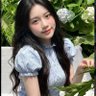 Little fairy 的头像