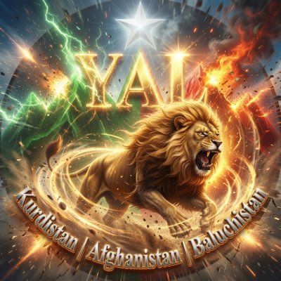 yalsarmachaar's profile picture