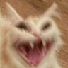 Profilbild von Amliat