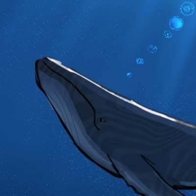 yuribeast's profile picture