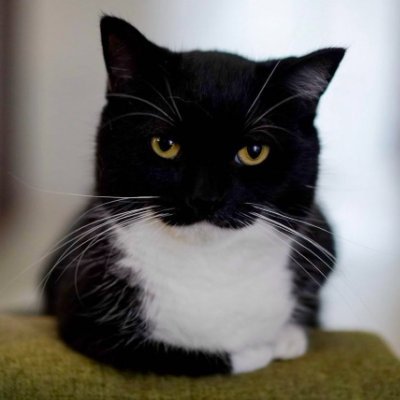 aledvqofeadcj's profile picture