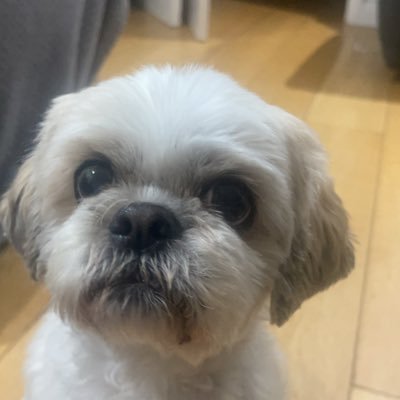 andrew.'s profile picture