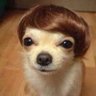 Profilbild von Homeperse778