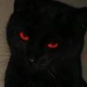 Profilbild von lil bat