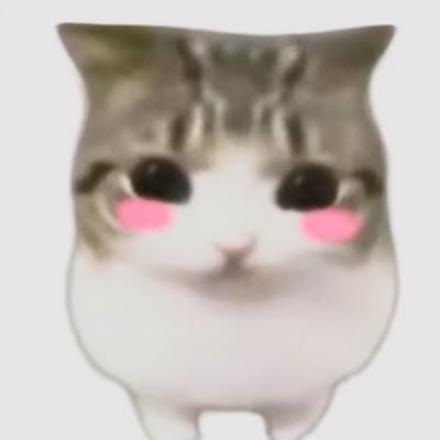 Zen's profile picture