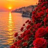 Tarun_Sain profil fotoğrafı