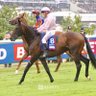 Фото профиля GerryC🏇🏾