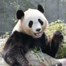Фото профиля AOキマコト