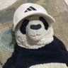 Miklos's profile picture