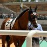 Profilbild von イイデケンシン