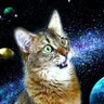 にゃんこ 的头像