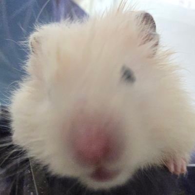 melony_w_t's profile picture