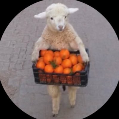 mervebebis's profile picture