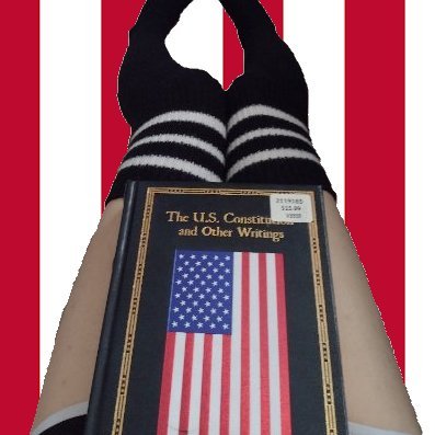 femboyliberty's profile picture