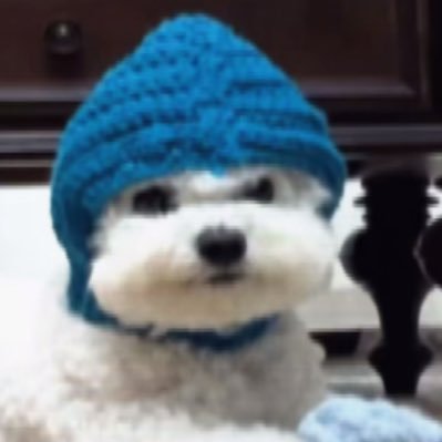 몽디✨'s profile picture