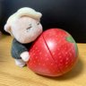 kataてぃんくる㌠🍥✨ 的头像