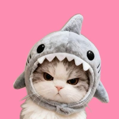 9tafts's profile picture